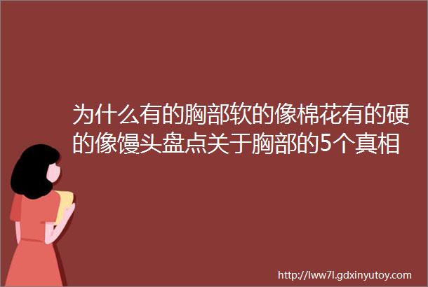 为什么有的胸部软的像棉花有的硬的像馒头盘点关于胸部的5个真相